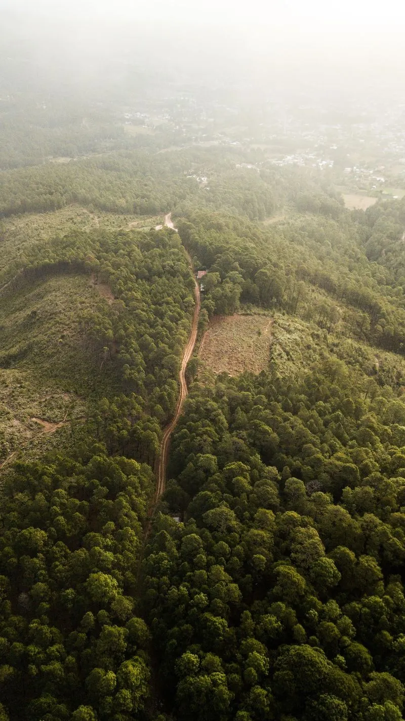 亞馬遜爲實現氣候目標而向一家石油公司支付費用