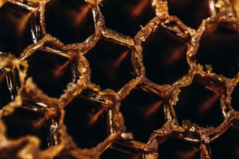 甜蜜勝利：感應器能檢測蜂蜜摻假