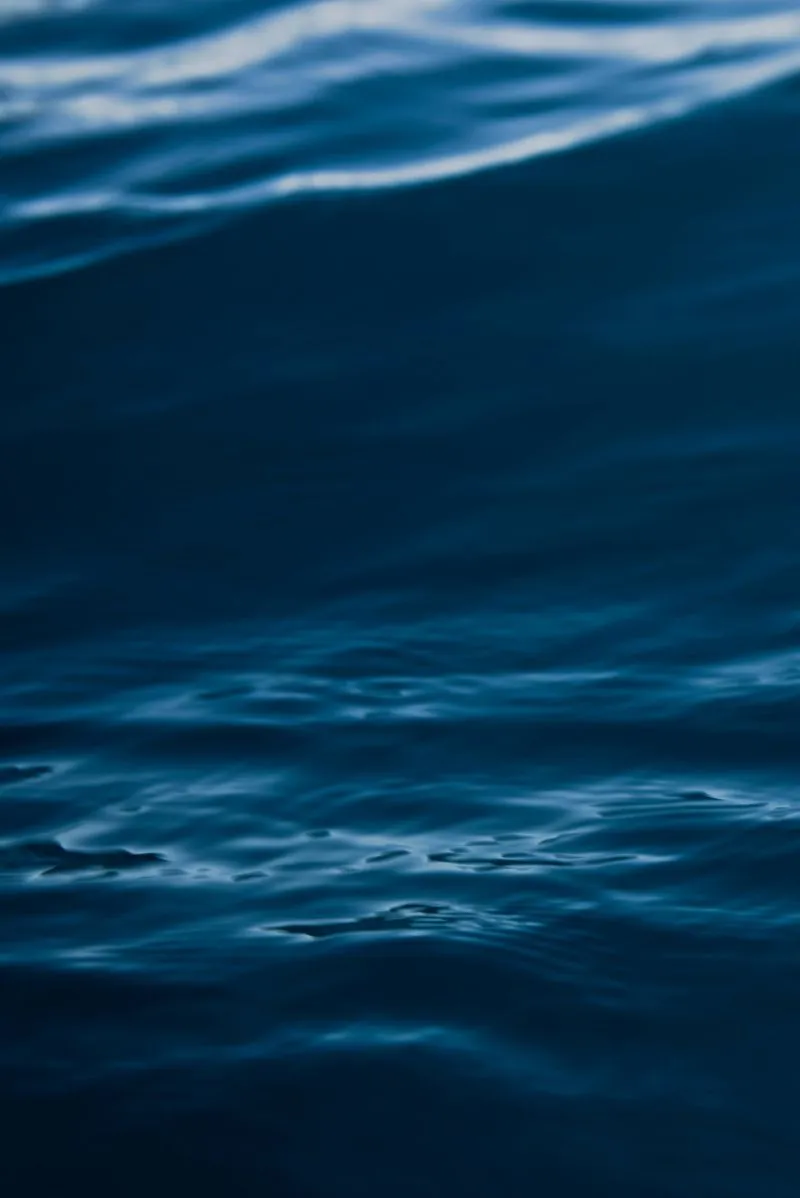 Syrenna 的 WaterDrone 是未來海洋監測的「水下氣象站」