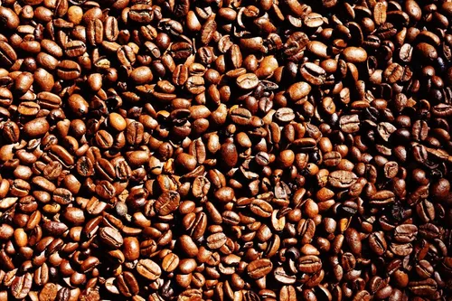格林咖啡公司籌集 2,500 萬美元擴大在哥倫比亞的業務並推出酒類飲料