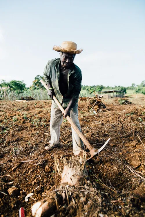 迦納肥沃農夫連結全球食品買家，籌集了 1040 萬美元