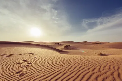 珍珠大淵展示了《赤色沙漠》開放世界遊戲的全新預覽