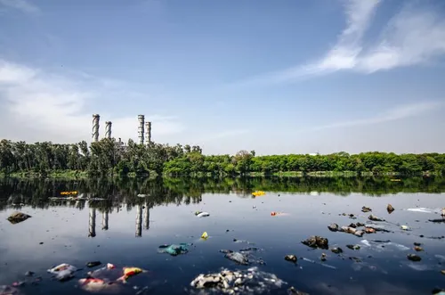 Refilled 計畫拯救 1 億塑膠瓶免於填埋場