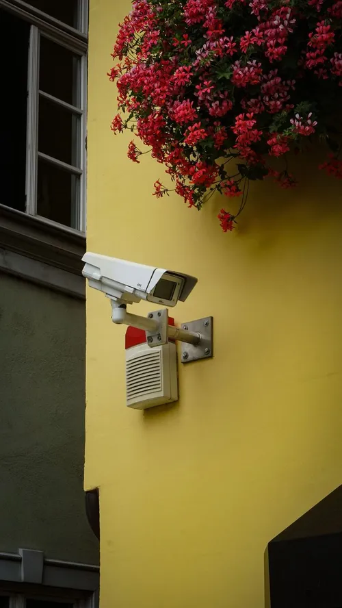 TP-Link 推出全新安全攝影機，款式媲美 Arlo 和 Nest，但價格更為親民